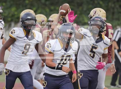 Thumbnail 2 in JV: Morse @ Point Loma photogallery.