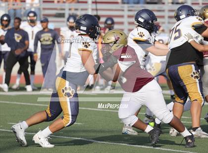 Thumbnail 2 in JV: Morse @ Point Loma photogallery.