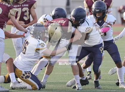 Thumbnail 2 in JV: Morse @ Point Loma photogallery.