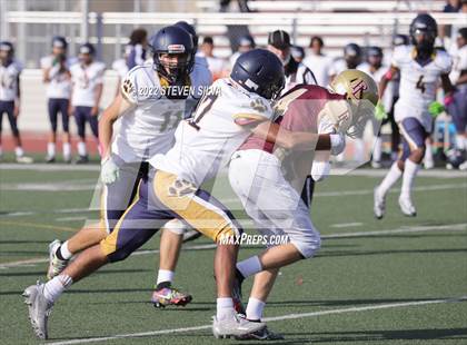 Thumbnail 3 in JV: Morse @ Point Loma photogallery.