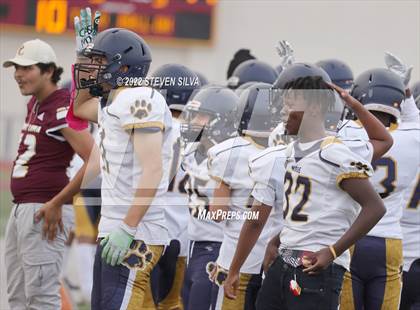 Thumbnail 3 in JV: Morse @ Point Loma photogallery.
