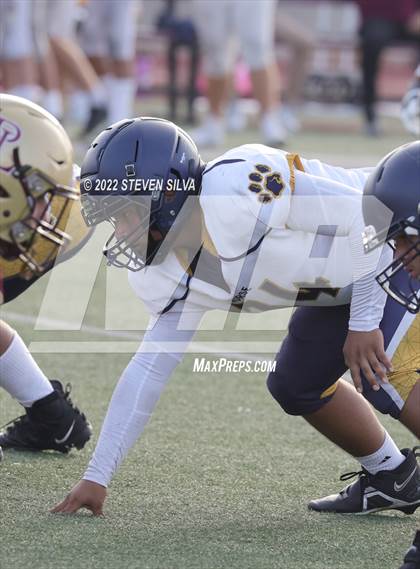 Thumbnail 1 in JV: Morse @ Point Loma photogallery.