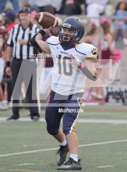 Thumbnail 2 in JV: Morse @ Point Loma photogallery.