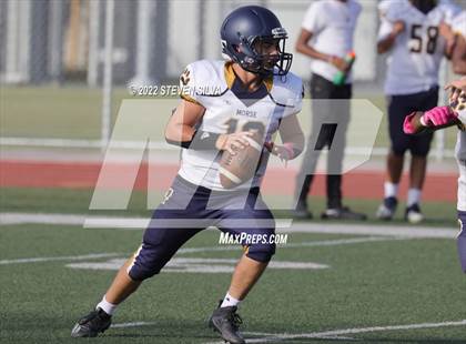 Thumbnail 3 in JV: Morse @ Point Loma photogallery.