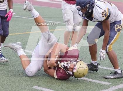 Thumbnail 1 in JV: Morse @ Point Loma photogallery.