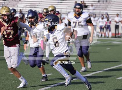 Thumbnail 1 in JV: Morse @ Point Loma photogallery.