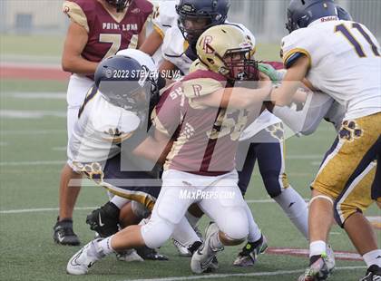 Thumbnail 2 in JV: Morse @ Point Loma photogallery.
