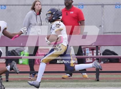 Thumbnail 3 in JV: Morse @ Point Loma photogallery.