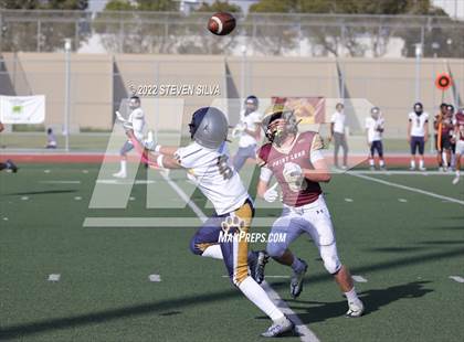 Thumbnail 3 in JV: Morse @ Point Loma photogallery.