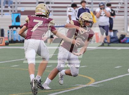 Thumbnail 3 in JV: Morse @ Point Loma photogallery.