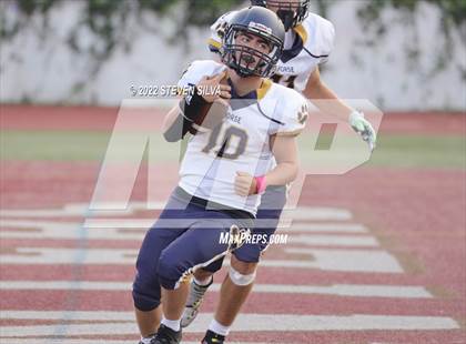 Thumbnail 3 in JV: Morse @ Point Loma photogallery.