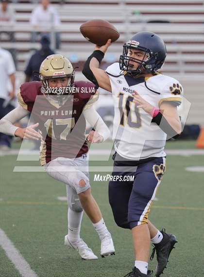 Thumbnail 3 in JV: Morse @ Point Loma photogallery.