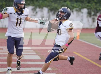 Thumbnail 2 in JV: Morse @ Point Loma photogallery.