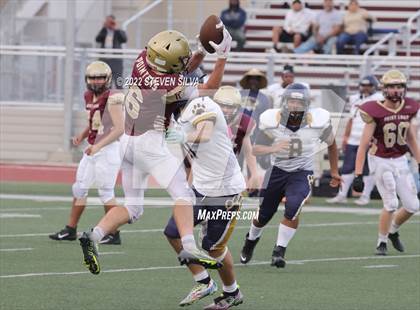 Thumbnail 3 in JV: Morse @ Point Loma photogallery.