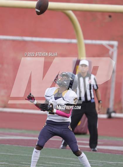 Thumbnail 3 in JV: Morse @ Point Loma photogallery.