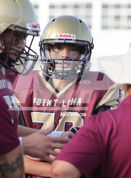 Thumbnail 3 in JV: Morse @ Point Loma photogallery.