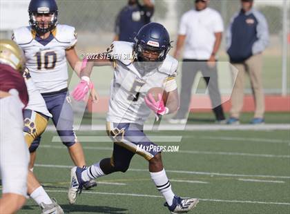 Thumbnail 2 in JV: Morse @ Point Loma photogallery.