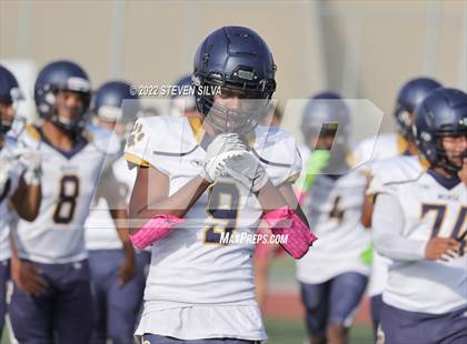 Thumbnail 2 in JV: Morse @ Point Loma photogallery.