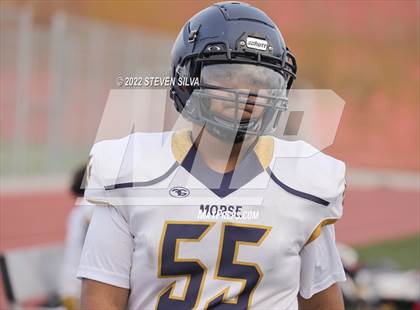 Thumbnail 1 in JV: Morse @ Point Loma photogallery.