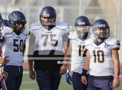 Thumbnail 2 in JV: Morse @ Point Loma photogallery.