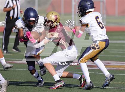 Thumbnail 3 in JV: Morse @ Point Loma photogallery.