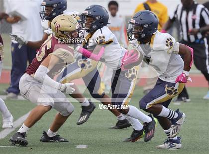 Thumbnail 3 in JV: Morse @ Point Loma photogallery.