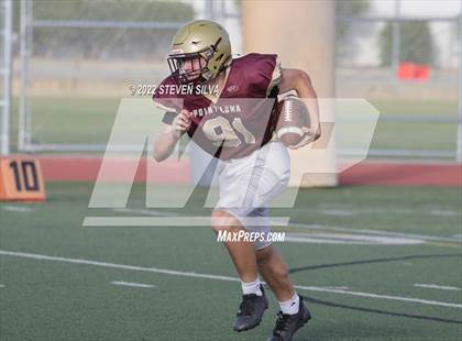 Thumbnail 2 in JV: Morse @ Point Loma photogallery.