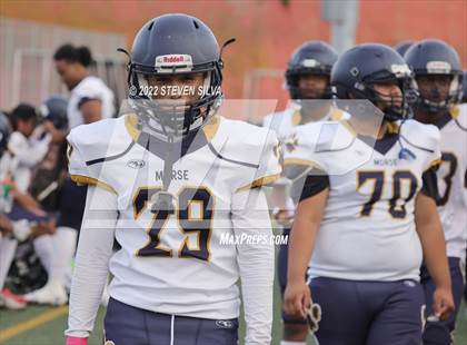 Thumbnail 3 in JV: Morse @ Point Loma photogallery.