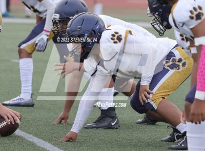 Thumbnail 3 in JV: Morse @ Point Loma photogallery.