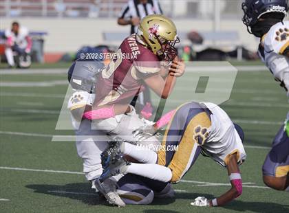 Thumbnail 3 in JV: Morse @ Point Loma photogallery.