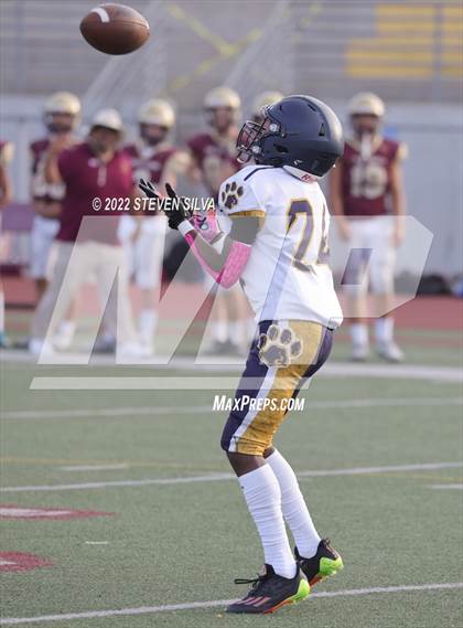 Thumbnail 3 in JV: Morse @ Point Loma photogallery.
