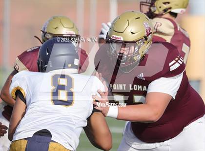 Thumbnail 3 in JV: Morse @ Point Loma photogallery.