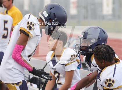 Thumbnail 1 in JV: Morse @ Point Loma photogallery.