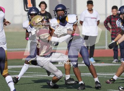Thumbnail 2 in JV: Morse @ Point Loma photogallery.
