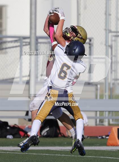 Thumbnail 3 in JV: Morse @ Point Loma photogallery.