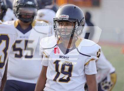 Thumbnail 3 in JV: Morse @ Point Loma photogallery.