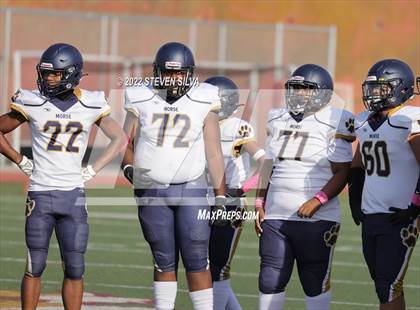 Thumbnail 1 in JV: Morse @ Point Loma photogallery.