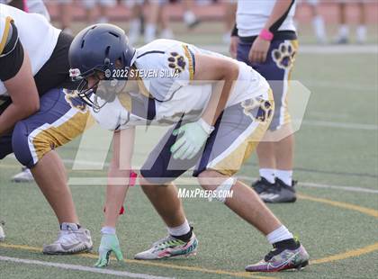 Thumbnail 1 in JV: Morse @ Point Loma photogallery.
