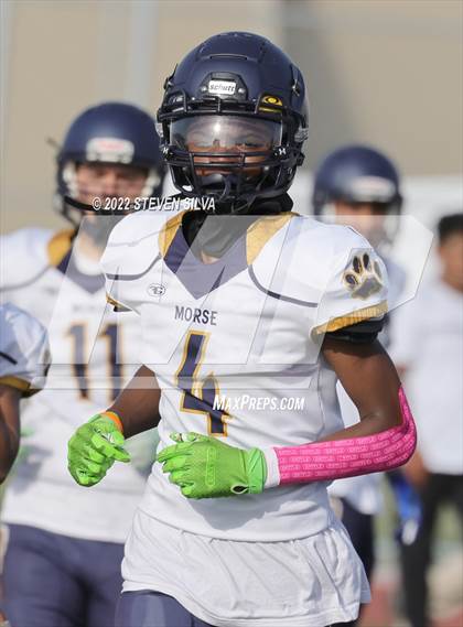 Thumbnail 3 in JV: Morse @ Point Loma photogallery.