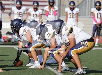Thumbnail 2 in JV: Morse @ Point Loma photogallery.