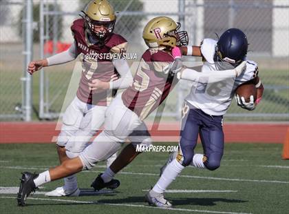 Thumbnail 1 in JV: Morse @ Point Loma photogallery.