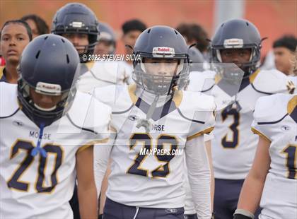 Thumbnail 2 in JV: Morse @ Point Loma photogallery.