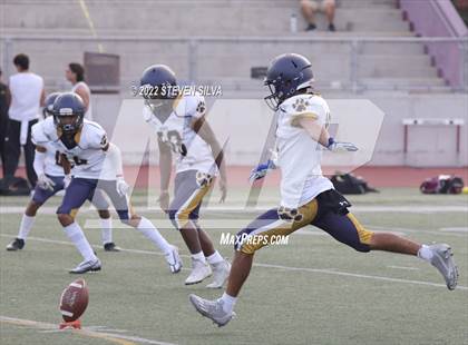 Thumbnail 3 in JV: Morse @ Point Loma photogallery.