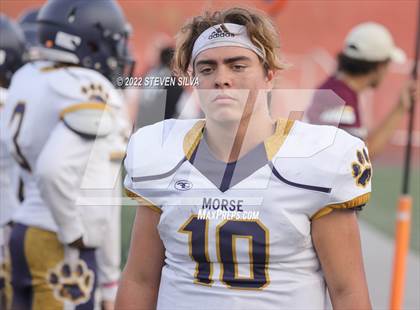Thumbnail 2 in JV: Morse @ Point Loma photogallery.