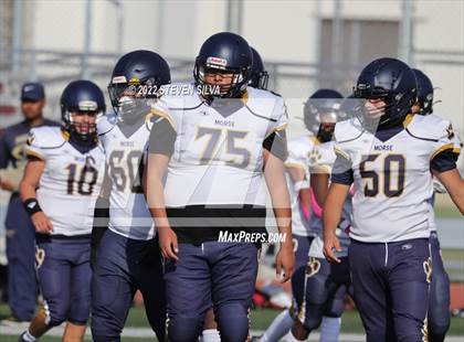 Thumbnail 2 in JV: Morse @ Point Loma photogallery.