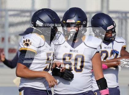 Thumbnail 1 in JV: Morse @ Point Loma photogallery.