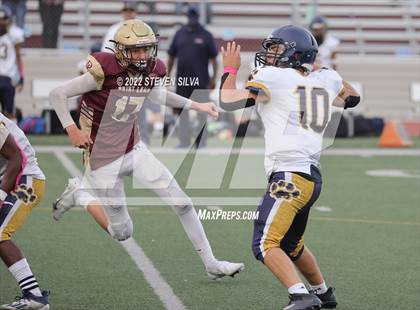Thumbnail 2 in JV: Morse @ Point Loma photogallery.