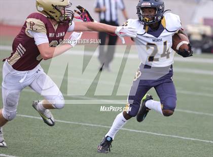 Thumbnail 3 in JV: Morse @ Point Loma photogallery.