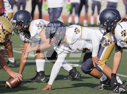 Thumbnail 1 in JV: Morse @ Point Loma photogallery.