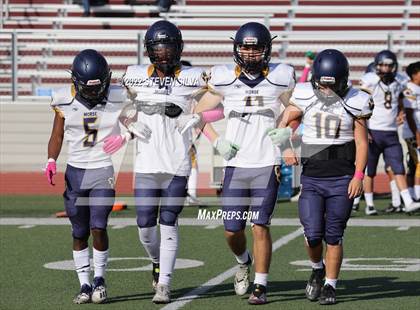 Thumbnail 3 in JV: Morse @ Point Loma photogallery.